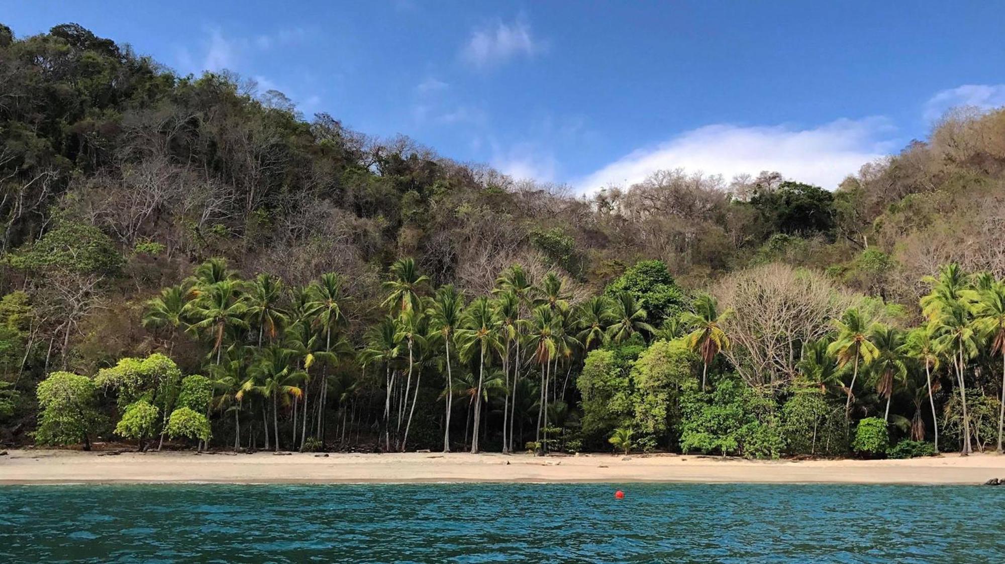 Los Vivos Beachfront Experience Pochote 외부 사진